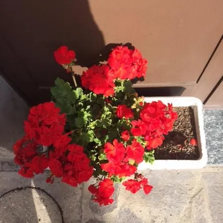 Gaigo * Pietralunga (Umbria)